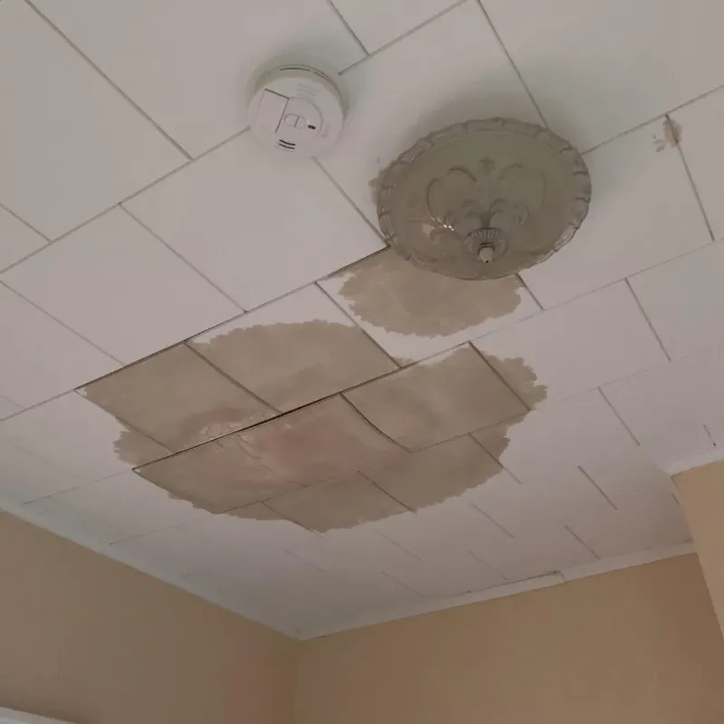 Ceiling Water Damage Repair in Mitchell County, NC