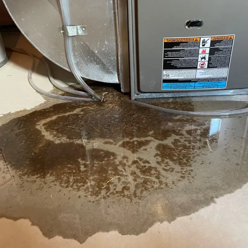 Pipe Burst and Leak Restoration in Mitchell County, NC