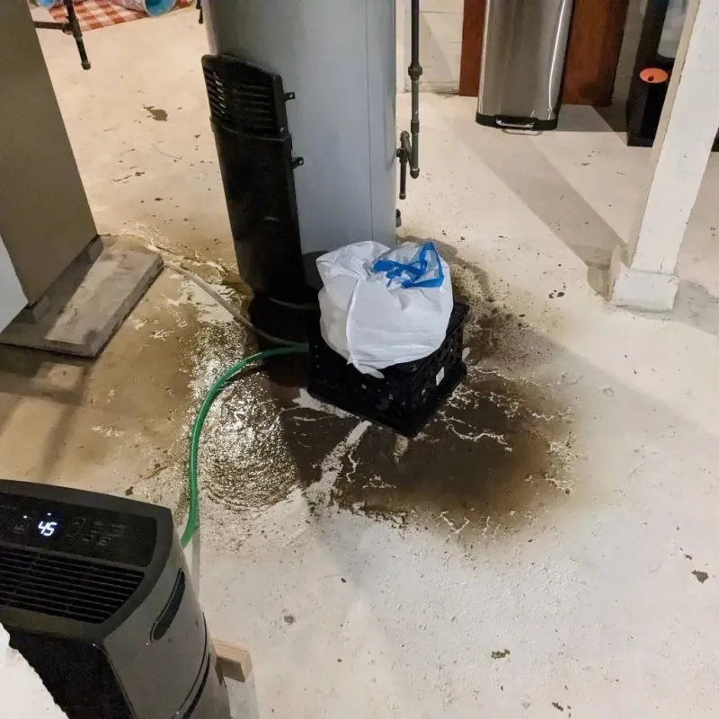Sewage Backup Cleanup Service in Mitchell County, NC